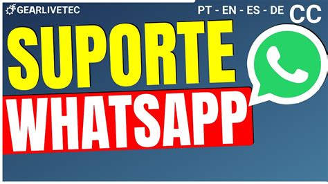 suporte texybet whatsapp